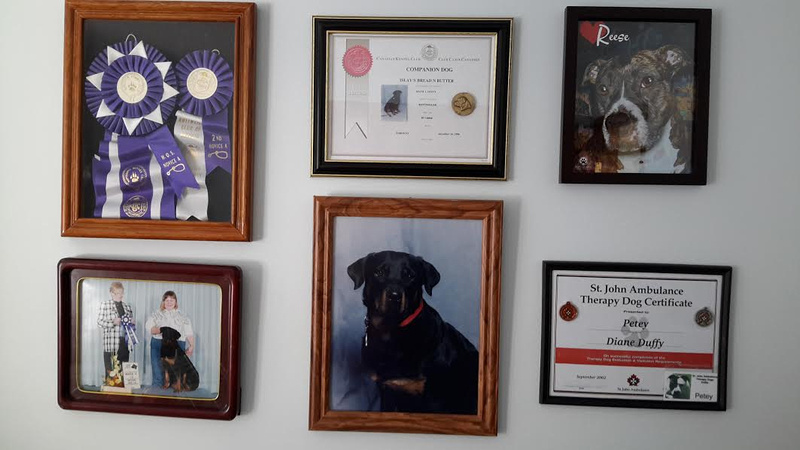 Custom Pet Portrait Examples by Andy's Paw Prints